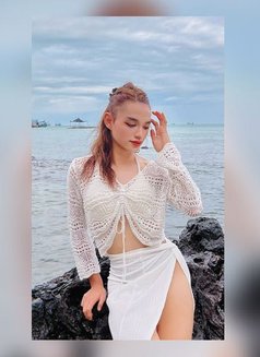New Ladyboy Sohot - Transsexual escort in Muscat Photo 1 of 1