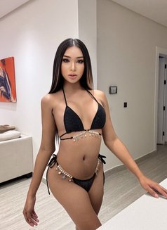 New ladyboy - Transsexual escort in Al Manama Photo 7 of 11