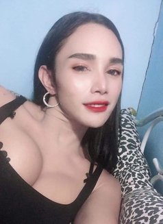 New Ladyboy - Transsexual escort in Al Sohar Photo 2 of 5