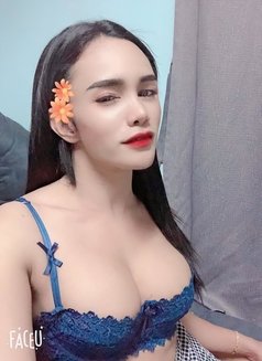 New Ladyboy - Transsexual escort in Al Sohar Photo 5 of 5