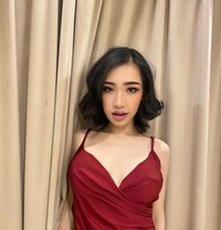 New Ladyboy - Acompañantes transexual in Dammam