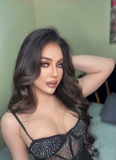 New Ladyboy - Transsexual escort agency in Dubai Photo 14 of 15