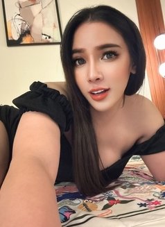 New ladyboy - Transsexual escort in Riyadh Photo 4 of 7