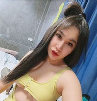 New Ladyboy - Transsexual escort in Riyadh