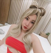 New Ladyboy - Transsexual escort in Riyadh