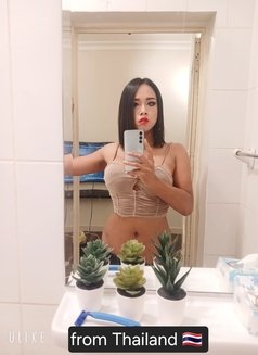 New Ladyboy Thai🏳️‍🇹🇭🏳️‍in Pattaya - Transsexual escort in Pattaya Photo 4 of 8