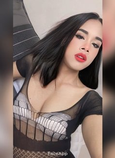 New Ladyboy Thai🏳️‍🇹🇭🏳️‍ - masseuse in Doha Photo 8 of 9