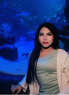 New Ladyboy Thai - Intérprete masculino de adultos in Muscat Photo 4 of 6