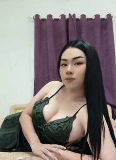 New Ladyboy Thailand - Acompañantes transexual in Muscat Photo 19 of 22