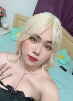 New Ladyboy Thailand - Acompañantes transexual in Muscat Photo 21 of 22