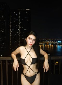 New Ladyboy Thailand - Transsexual escort in Riyadh Photo 1 of 11