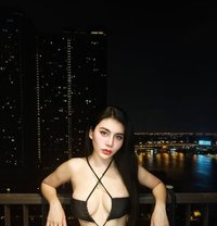 New Ladyboy Thailand - Transsexual escort in Riyadh