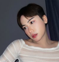 New ladyboy🇹🇭Top&bottom - Transsexual escort in Al Manama
