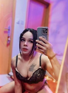 ⚜️NewLadyBoy⚜️[top&bottom] - Transsexual escort in Muscat Photo 14 of 15