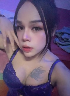 ⚜️NewLadyBoy⚜️[top&bottom] - Transsexual escort in Muscat Photo 15 of 15