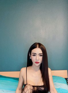 New ladyboy VIP - Transsexual escort in Khobar Photo 5 of 5