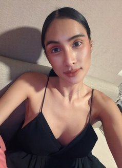 New ladyboy VIP - Acompañantes transexual in Khobar Photo 4 of 5