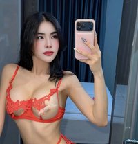New ladyboy VIP - Transsexual escort in Khobar