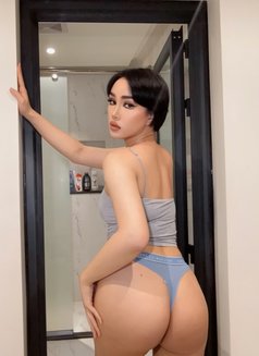 New Ladyboys Both Big Ass - Transsexual escort in Khobar Photo 8 of 12