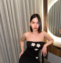 New Lilly - Transsexual escort in Okinawa Island