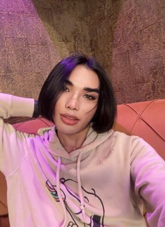 New Look Available1AM-4PM🫦 - Transsexual escort in Al Manama Photo 20 of 22