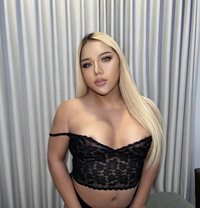 New Mayan big cock 69 Thai - Transsexual escort in Khobar Photo 18 of 18