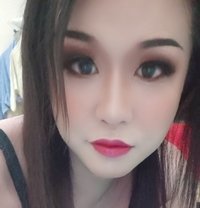 New Mi Mi - Transsexual escort in Al Sohar