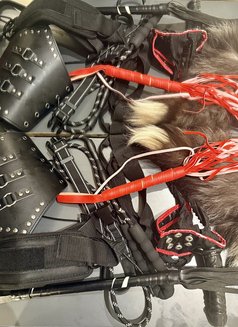 New Mistress in Riyadh - puta in Riyadh Photo 2 of 6