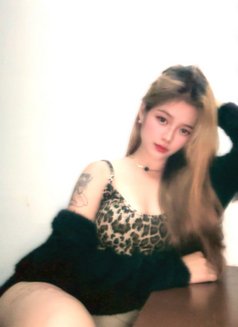 New Model Lilly (Meet, Gf Expercience) - escort in Manila Photo 5 of 13