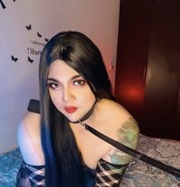 New Number Femboy chubby sexy Thailand - Transsexual escort in Amman