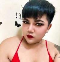 New Number Femboy chubby sexy Thailand - Transsexual escort in Amman Photo 12 of 12