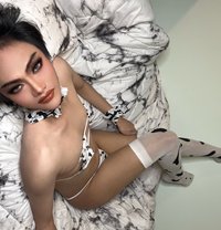 New Popper 🇹🇭 - Male escort in Al Manama Photo 6 of 7