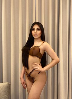 New Prime Young Shemale Both69 - Acompañantes transexual in Riyadh Photo 1 of 16