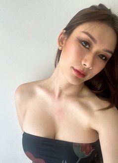 ROSÉ - Anal - Independent - escort in Seoul Photo 2 of 11