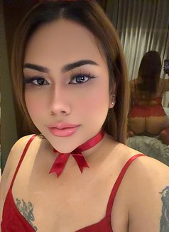 New Sara good massage good service - Transsexual escort in Khobar Photo 3 of 4