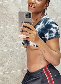 New Sarah Escort - escort in Jubail Photo 1 of 7