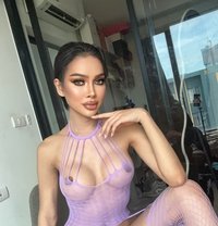 DIVA Top69 - Transsexual escort in Bangkok