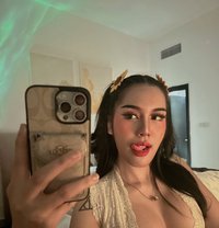 Come back Alicepost-op Anal CIM - escort in Dubai