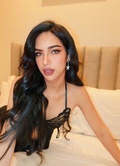 Shemale IN Riyadh 🇹🇭🇸🇦 - Transsexual escort in Riyadh Photo 6 of 6