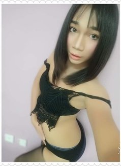 New Shemale Mona - Transsexual escort in Doha Photo 3 of 6