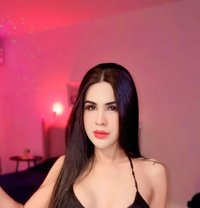 New Sofia VIP Both Thailand - Transsexual escort in Khobar