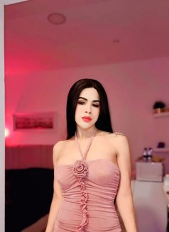 New Sofia VIP Both Thailand - Transsexual escort in Khobar Photo 10 of 10