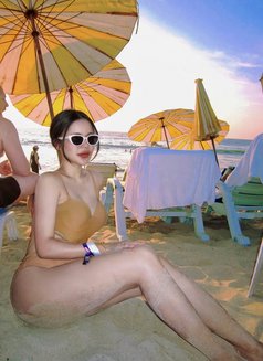 New Spy in Phuket Now - escort in Phuket Photo 6 of 6