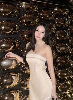 Flight Angel - escort in Seoul Photo 1 of 23