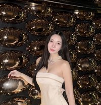 Flight Angel - escort in Seoul