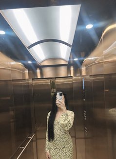 new in Doha - Transsexual escort in Doha Photo 2 of 3