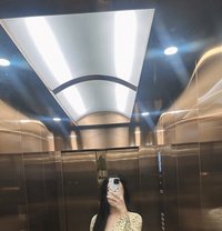 new here - Acompañantes transexual in Doha