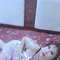 New Thai Girl Professional Massage Full - puta in Muscat Photo 3 of 13
