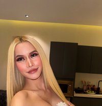 Available full service 69 - Transsexual escort in Al Manama