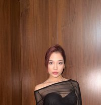 New ! Tory 19 Years - escort in Phuket